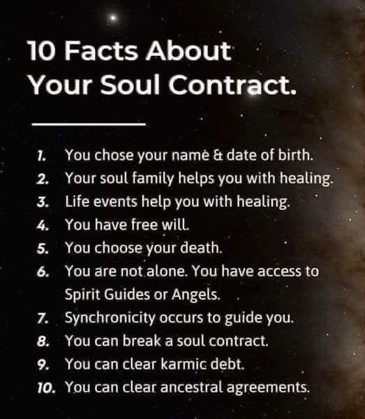 sacred contracts